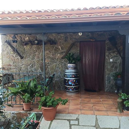 Casa Rural Los Olivos Sotoserrano Ngoại thất bức ảnh