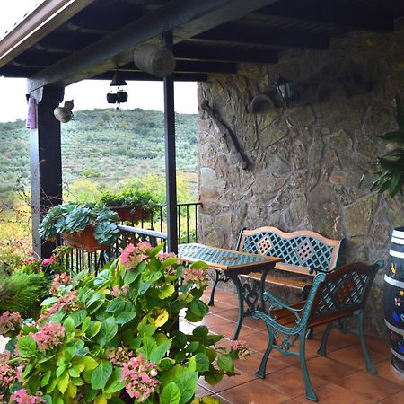 Casa Rural Los Olivos Sotoserrano Ngoại thất bức ảnh