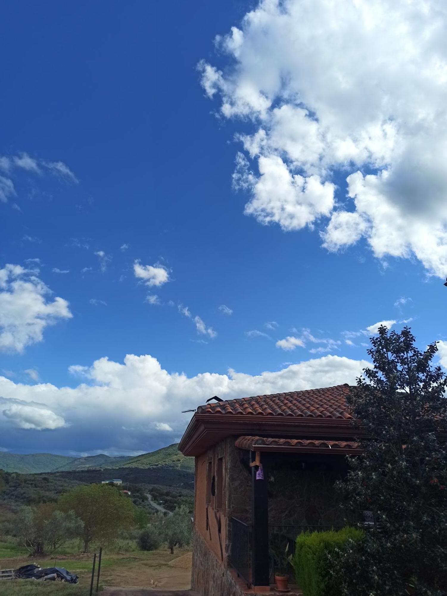Casa Rural Los Olivos Sotoserrano Ngoại thất bức ảnh