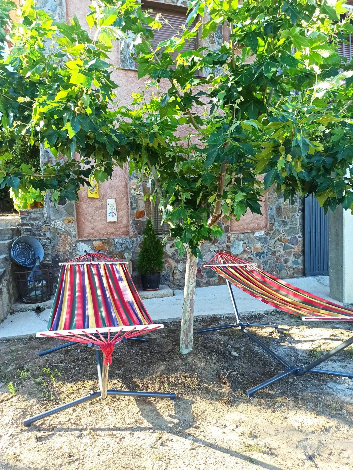 Casa Rural Los Olivos Sotoserrano Ngoại thất bức ảnh