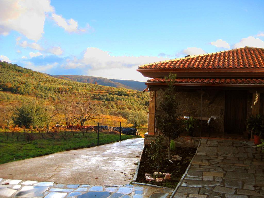 Casa Rural Los Olivos Sotoserrano Ngoại thất bức ảnh